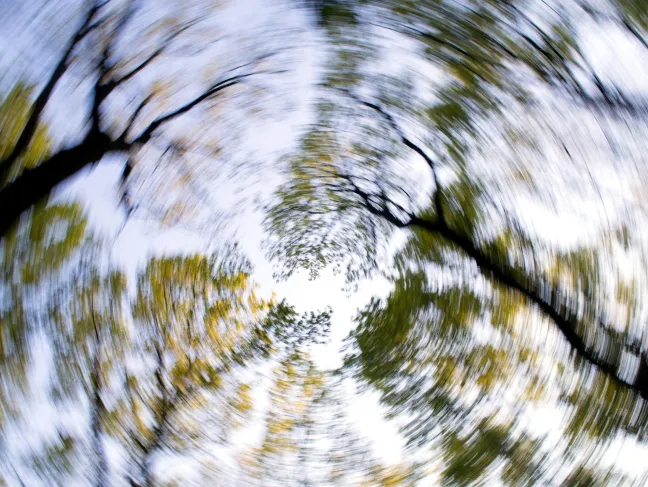 Baumkronen verschwommen, verdreht wie bei Schwindelgefühl